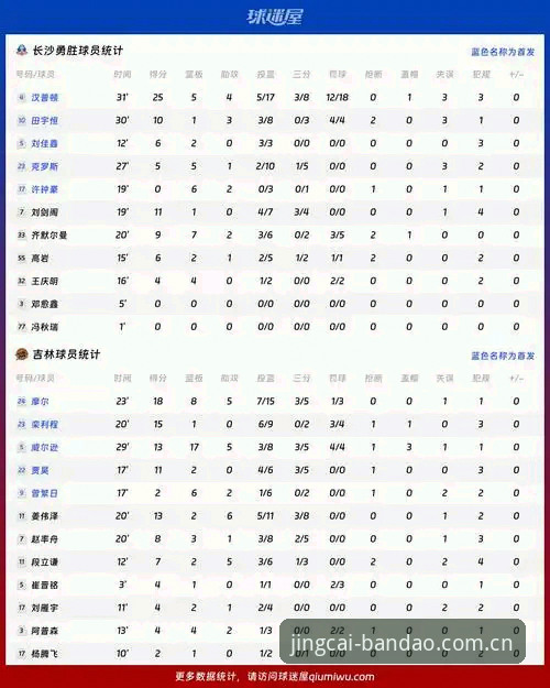 半岛体育数据统计功能与手动分析对比：哪个更适合赛事研究？